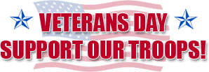 VETERANS DAY   SUPPORT OUR TROOPS!